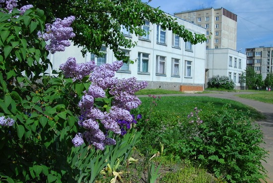 Фото детского сада