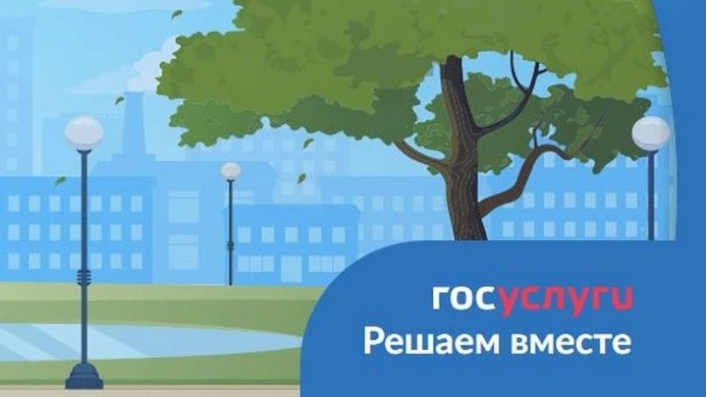 Госуслуги.Решаем вместе.