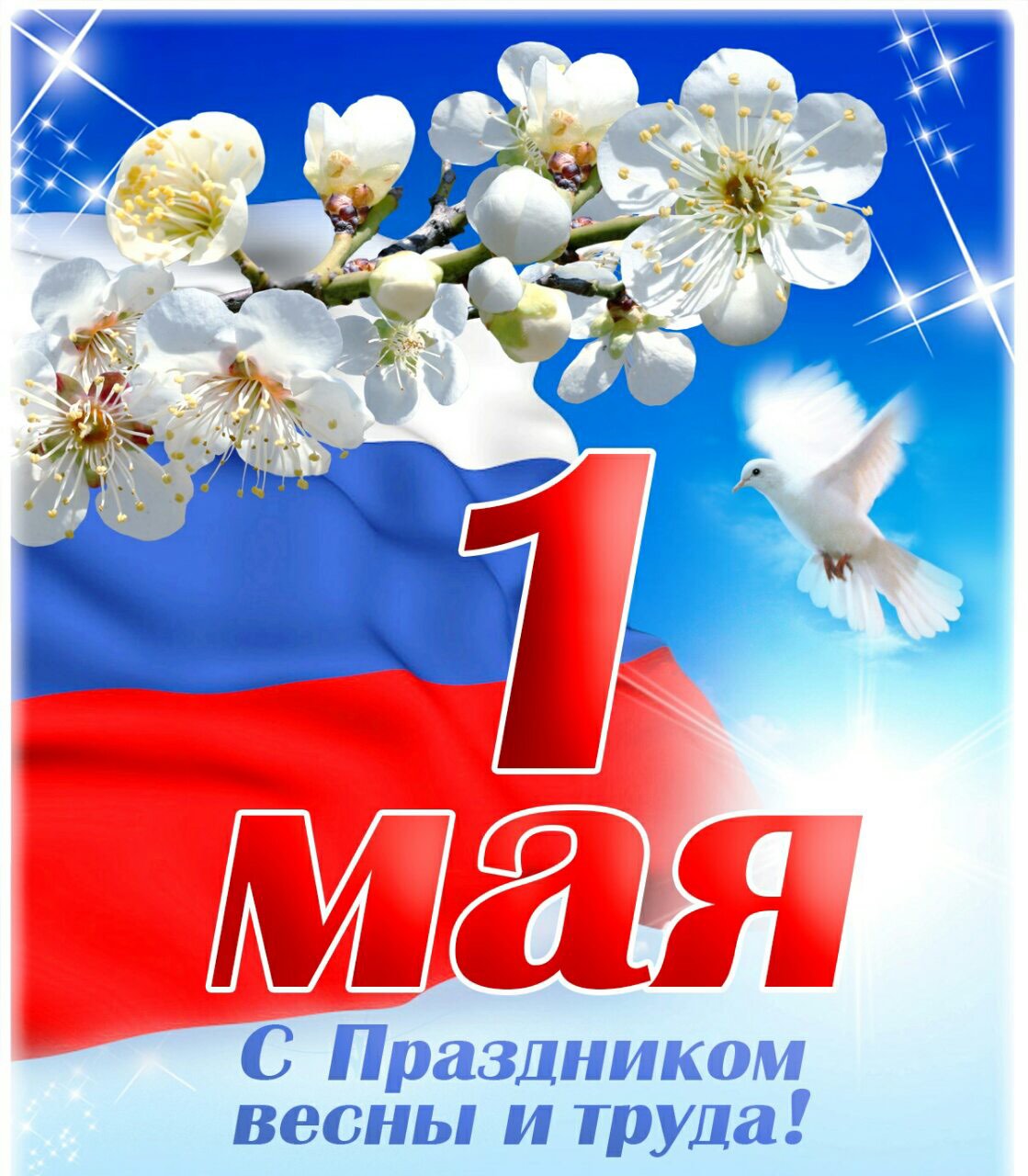 1may